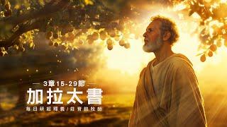 250621 加拉太書 3章15~29節 因信稱義承受應許成為神兒子 (附小組討論題庫於留言區)