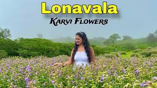 Karvi Flowers Festival Vlog | Lonavala | Best Place to visit in #lonavala 