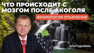 Что происходит в мозгу после употребления алкоголя? Эффект виноградной грозди. Виктор Ефимов