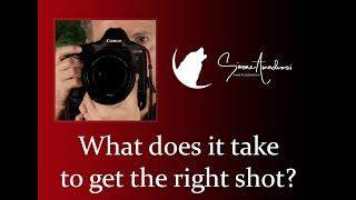 Photography Tutorial - What does it take to get the right shot?