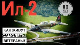 IL-2 Fight for the Memory. The story of only flying Il-2 in Russia. Interview with warplane restorer