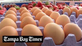 Egg supply is low and prices are high at a Florida farmer's market