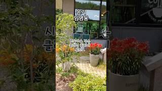 은퇴후생활 시골 작은 클래식카페에서#임영웅온기 #은퇴부부 #은퇴생활