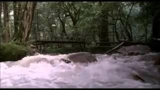 Che Majid Majidi "Khedo rang" filmi oxona sahna. Handeda Hadi Hamidi