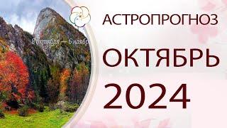 АСТРОПРОГНОЗ 2024:  Встреча по Прогноз по Бацзы на ОКТЯБРЬ 2024 месяц Деревянной Собаки 甲戌