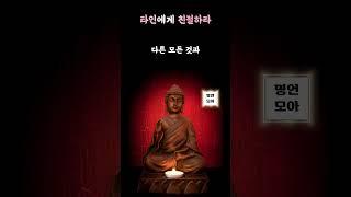 친절은 사랑입니  | 힐링이 되는 석가모니 인생조언 명언모음 인생을 바꿔줄 삶의 지혜 불교 명언 부처님 말씀 #쇼츠 #shorts