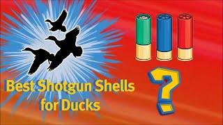 BEST SHOTGUN SHELL for DUCK HUNTING