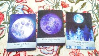 Tarot chọn tụ: BẠN KHIẾN CHO MỌI NGƯỜI VỪA NGƯỠNG MỘ VỪA GANH TỊ VÌ ĐIỀU GÌ? 🫣 Tarot Xuân Thúy