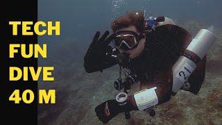 Tec-40 Fun Dive. Whitetip Sharks, Frogfish, DPV, Gas Switch | in 4K HD