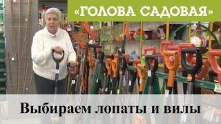 Голова садовая - Выбираем лопаты и вилы