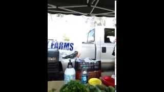 Pacific Beach Tuesday Farmers Market tours