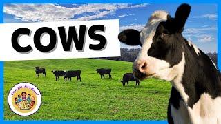 Kids Educational Videos | Kindergarten and Elementary ENGLISH |  Fun Facts About Cows for Kids!!!