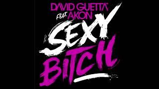 David Guetta - Sexy Bitch (feat. Akon)