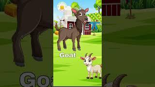 Farm Animals for Kids | Learn Animal Names - Tamilarasi English