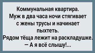 Как Теща Ночью На Молодых Смотрела! Сборник Свежих Анекдотов! Юмор! Позитив!