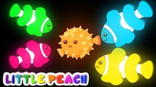 Baby Sensory | FUNKY FISH | Fun Animation with Music