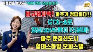 [부동산투자] 매물번호056 최근 규제 다 피해간 투자처! 운정신도시 힐데스하임 오피스텔 |부동산 분양정보 | 황금매물TV