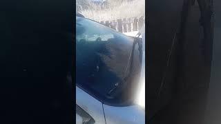 замена салонного фильтра на деревенской гранте