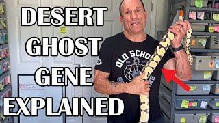 DESERT GHOST GENE SIMPLIFIED!