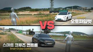 테슬라 오토파일럿 VS 현대 스마트 크루즈 컨트롤 장애물 충돌 실험! 생각보다 놀라운데요..? | 대신해드립니다