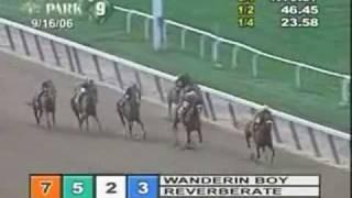 Wanderin Boy - 2006 Brooklyn Hcp. (read about his amazing story)