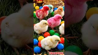 Adorable baby chicks #chicks #cute #ai #adorable