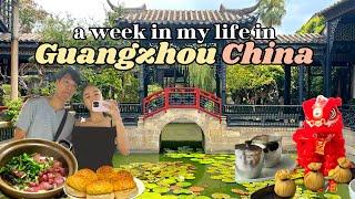 Best dim sum in Guangzhou  Life in my 20's in Guangzhou vlog 2023, a week in my life in Guangzhou 