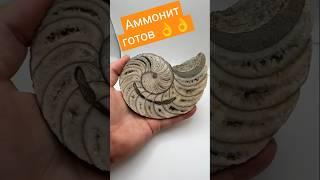 Отполировал аммонит, что получилось! #золото #gold #пирит #камнемания #аммонит #окаменелости