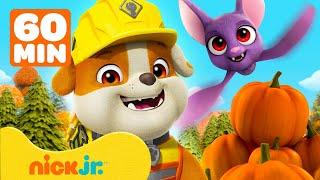 Rubble & Crew | Rubble celebra el otoño en el patio trasero! Con Motor y Charger | 1 hora | Nick Jr.