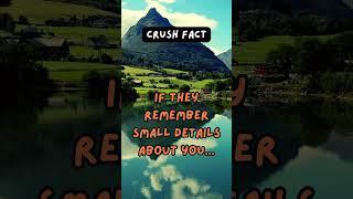 "BlinkBits | Flash Facts, Fun Finds"