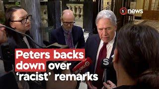 Mexican Ambassador has raised concerns after NZ First's comments | 1News on TVNZ+