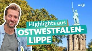 OWL:  Externsteine, Teutoburger Wald und Störche | ARD Reisen