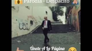 Ese Gringo-Parodia de Despacito