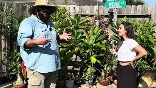 Garden Tour! Everyday Gardeners: Destin Noak - Texas Garden Guy