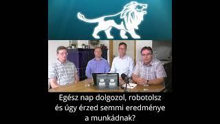  ProfitOroszlán - Gazdag vállalkozó