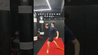 태권도 선출이 알려주는 킥을 강하고 빠르게 차는법 #격투기 #mma #ufc #taekwondo #피보이mma