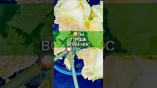 Тебе начнут завидовать️Гадание на воске