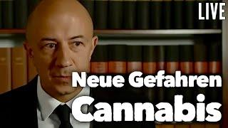 Cannabis Legalisierung - Das müsst Ihr jetzt beachten: Anbau, Besitz, gemeinsame Pflanzen usw.