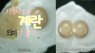 계란의 의미가 뭘까