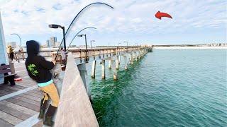 Using Cut Bait on This GULF PIER to Catch Dinner! *Catch & Cook*