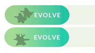 Too late to evolve this rare dragon pokemon....