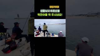 강릉 무료 캠핑낚시터 낚은 전어 막주시네요 #캠핑카여행 #차박캠핑 #여행 #노지캠핑 #캠핑카 #낚시 #fishing #노지차박 #캠낚 #떡전어