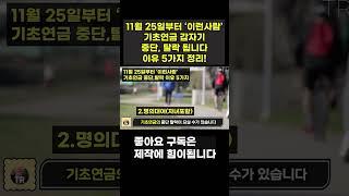 기초연금 11월 25일부터 갑자기 '이런사람' 중단, 감액됩니다! 모르면 나만손해!