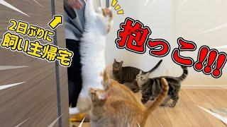 2日ぶりに飼い主と再会した猫の反応がこちら。