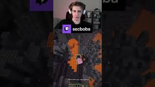Чтобы не расслаблялся #secb #секби #майнкрафт
