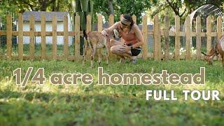 Quarter Acre Homestead Tour | Beginner Backyard Farm