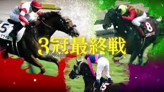 【フジテレビ公式】みんなのKEIBA＜10月20日(日)午後3時放送＞菊花賞・GIスペシャル動画