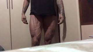 FBB Fernanda Molina shredded quads flex