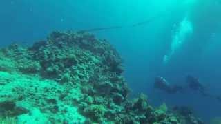 Caspian sea underwater dive