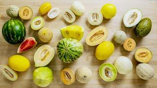 Trying Every Type Of Melon | The Big Guide | Epicurious